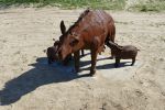 PICTURES/Borrego Springs Sculptures - Tortoise, Pigs & Tapir/t_P1000373.JPG